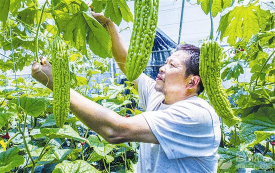 �a(ch��n)�I(y��)��ؚ�Y(ji��)�T�� Óؚժñ��С��