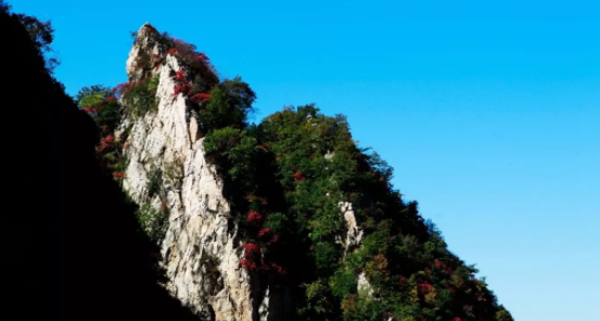 �R�����R��