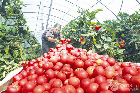 �l(xi��ng)�����d������r(n��ng)�I(y��)�ų���ɫ���衱