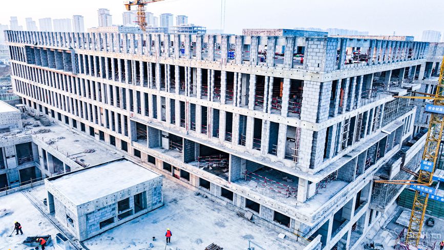 ����ʡ�tʮ��ѪҺ�����Ŀ�F(xi��n)�������z