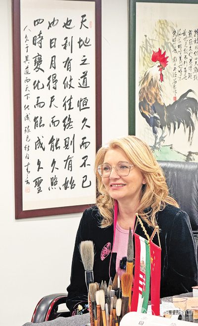 �ߌ�ʯ�ڽ��ܱ���(b��o)ӛ�߲��L�����Ŕz