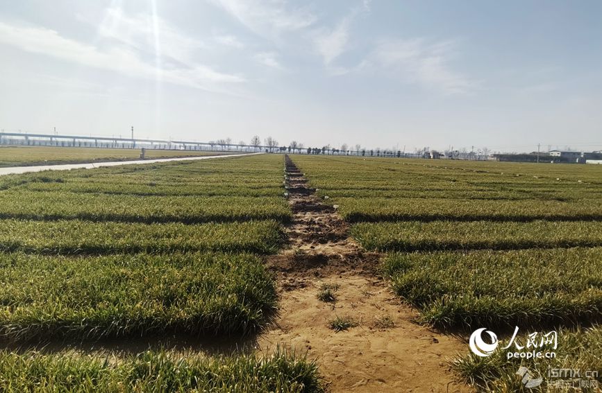 䓈F(tun)(du)ؓ(f)؟(z)λںʡl(xing)hć(gu)ҬF(xin)r(nng)I(y)ƼʾչʾW(wng) ηΔz